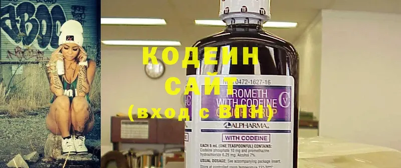 купить наркотики цена  mega онион  Кодеиновый сироп Lean напиток Lean (лин)  Новочебоксарск 