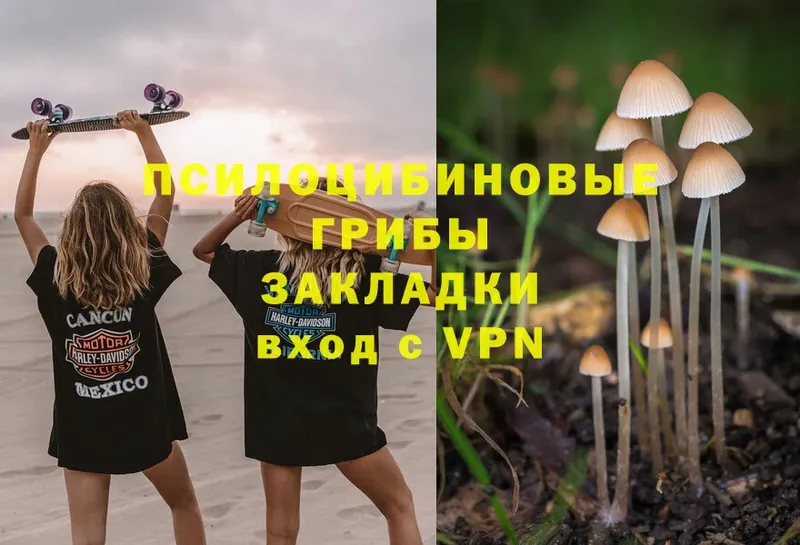 ссылка на мегу сайт  Новочебоксарск  Псилоцибиновые грибы Psilocybe 